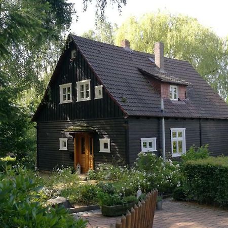 "Haus Am Knobben" Villa Uslar Exteriör bild