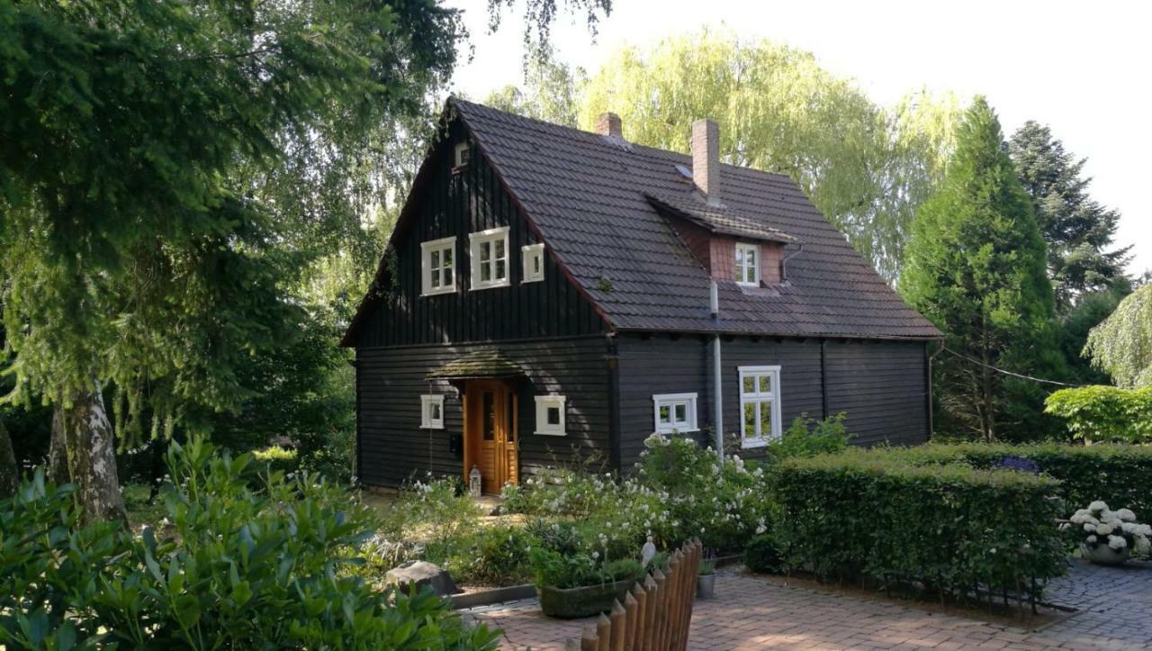 "Haus Am Knobben" Villa Uslar Exteriör bild