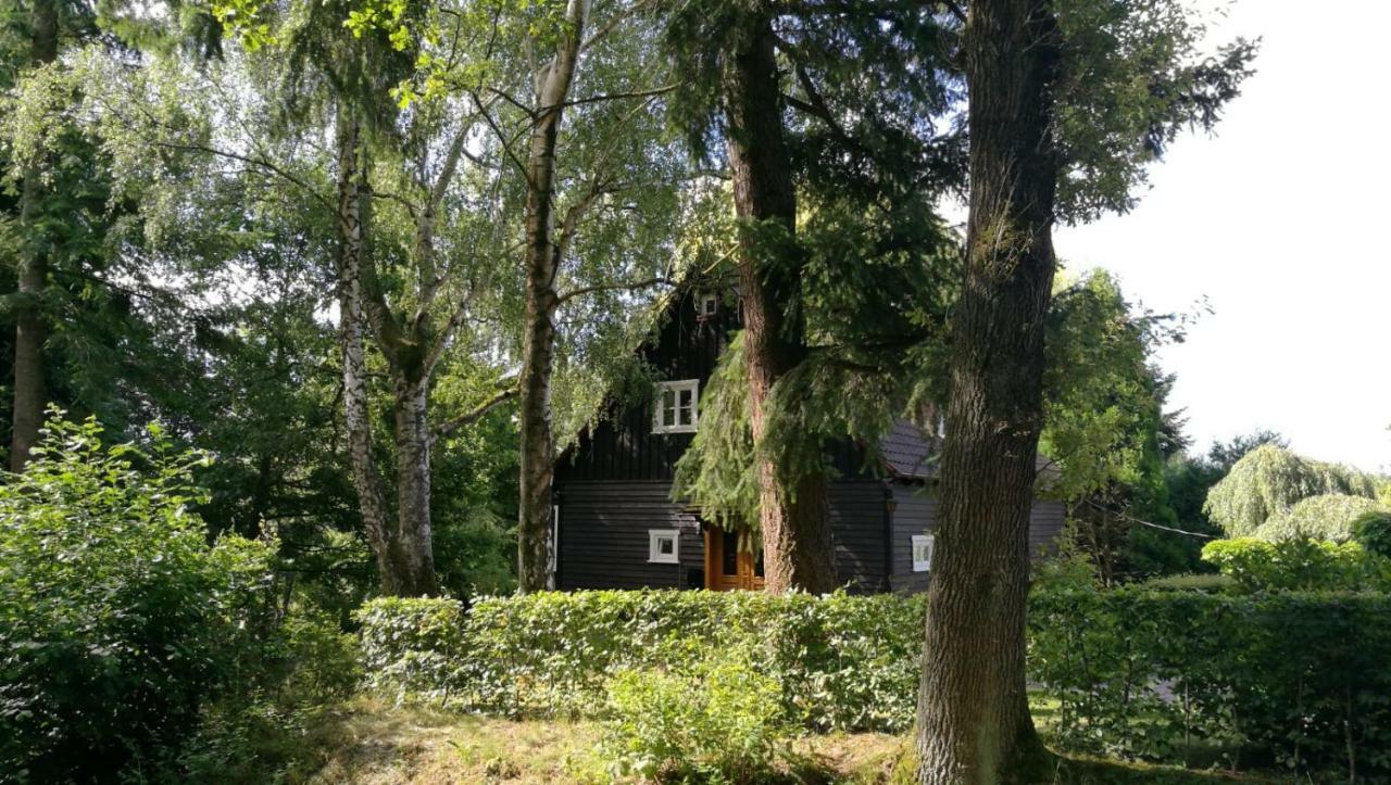 "Haus Am Knobben" Villa Uslar Exteriör bild