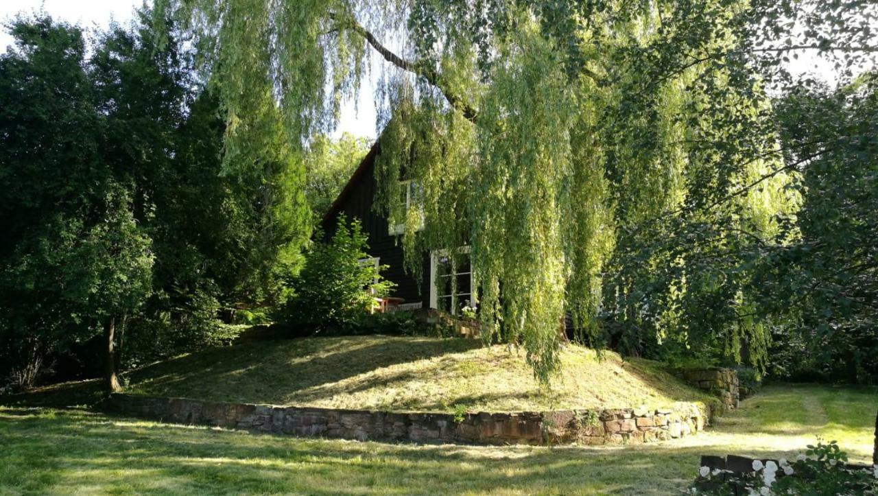 "Haus Am Knobben" Villa Uslar Exteriör bild